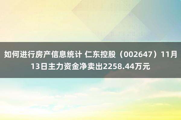 如何进行房产信息统计 仁东控股（002647）11月13日主力资金净卖出2258.44万元