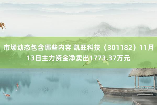 市场动态包含哪些内容 凯旺科技（301182）11月13日主力资金净卖出1773.37万元