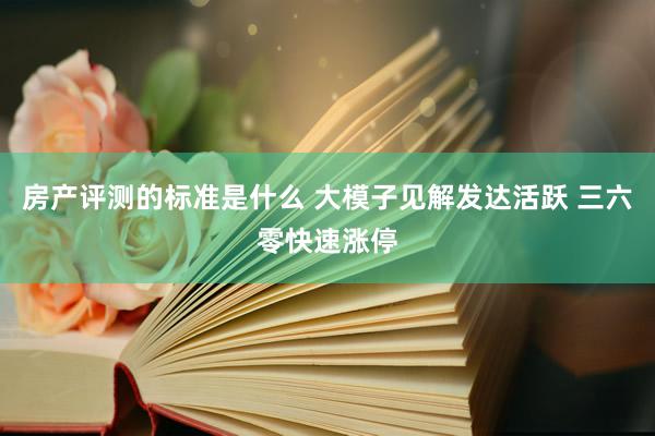 房产评测的标准是什么 大模子见解发达活跃 三六零快速涨停