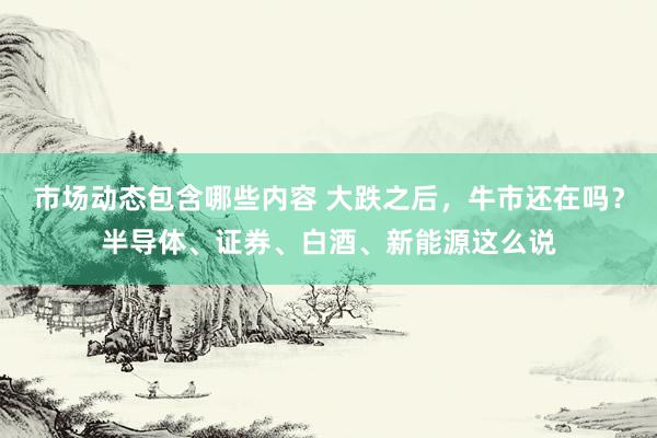 市场动态包含哪些内容 大跌之后，牛市还在吗？半导体、证券、白酒、新能源这么说