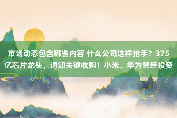 市场动态包含哪些内容 什么公司这样抢手？375亿芯片龙头，通知关键收购！小米、华为曾经投资