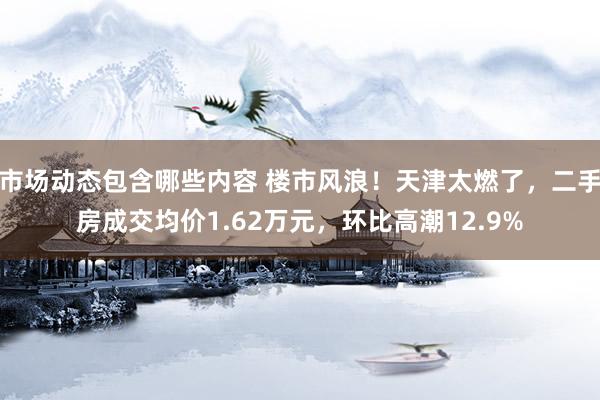 市场动态包含哪些内容 楼市风浪！天津太燃了，二手房成交均价1.62万元，环比高潮12.9%