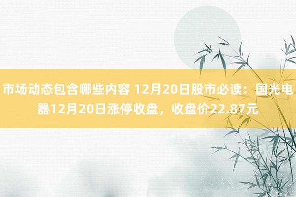 市场动态包含哪些内容 12月20日股市必读：国光电器12月20日涨停收盘，收盘价22.87元