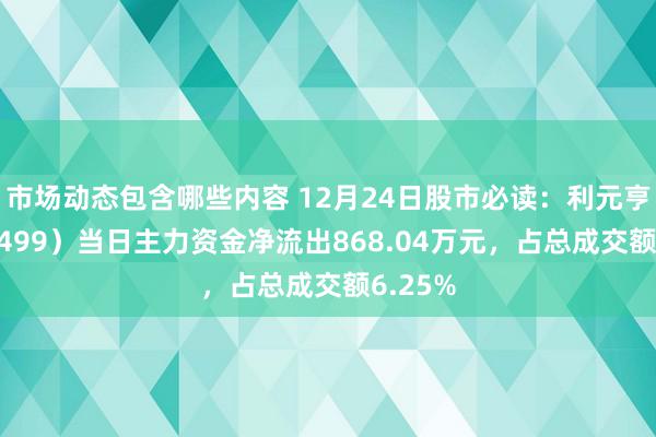 市场动态包含哪些内容 12月24日股市必读：利元亨（688499）当日主力资金净流出868.04万元，占总成交额6.25%