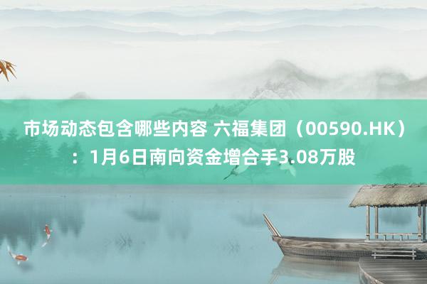 市场动态包含哪些内容 六福集团（00590.HK）：1月6日南向资金增合手3.08万股