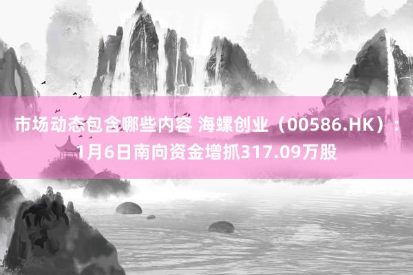 市场动态包含哪些内容 海螺创业（00586.HK）：1月6日南向资金增抓317.09万股