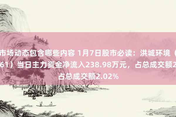 市场动态包含哪些内容 1月7日股市必读：洪城环境（600461）当日主力资金净流入238.98万元，占总成交额2.02%