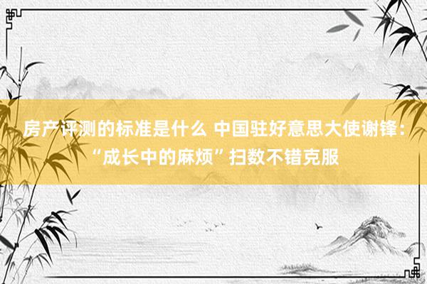 房产评测的标准是什么 中国驻好意思大使谢锋：“成长中的麻烦”扫数不错克服