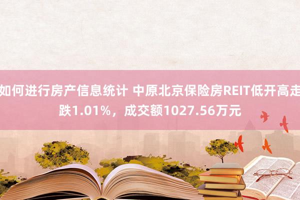 如何进行房产信息统计 中原北京保险房REIT低开高走跌1.01%，成交额1027.56万元