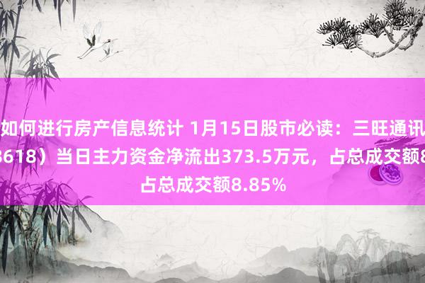 如何进行房产信息统计 1月15日股市必读：三旺通讯（688618）当日主力资金净流出373.5万元，占总成交额8.85%