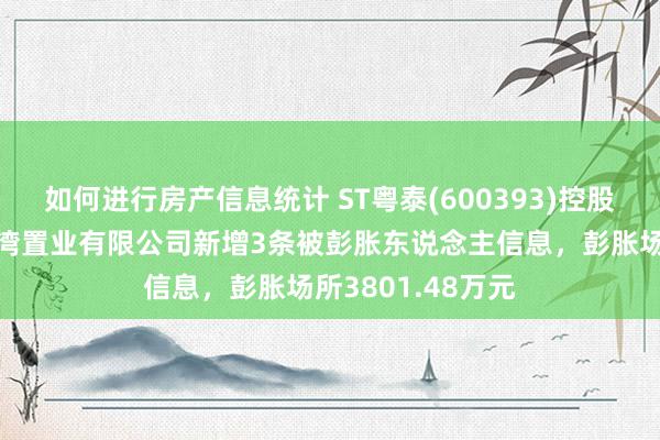 如何进行房产信息统计 ST粤泰(600393)控股的淮南粤泰天鹅湾置业有限公司新增3条被彭胀东说念主信息，彭胀场所3801.48万元