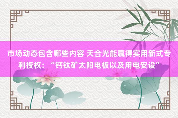 市场动态包含哪些内容 天合光能赢得实用新式专利授权：“钙钛矿太阳电板以及用电安设”