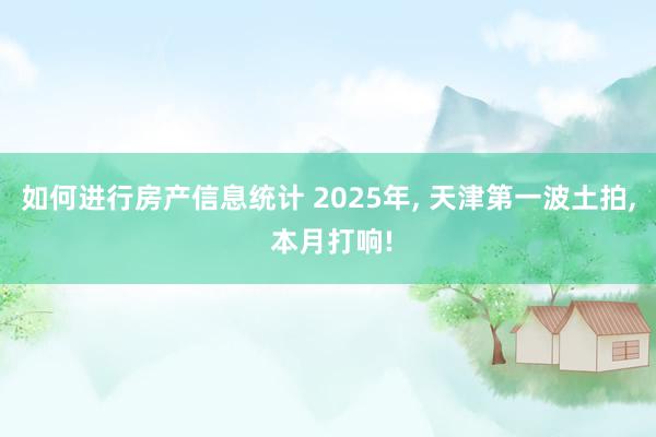 如何进行房产信息统计 2025年, 天津第一波土拍, 本月打响!