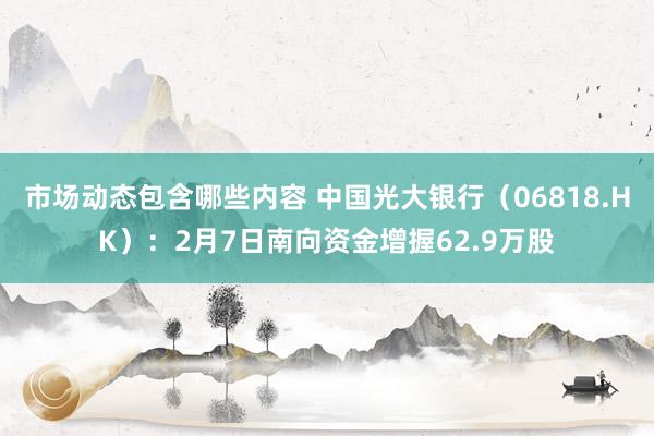 市场动态包含哪些内容 中国光大银行（06818.HK）：2月7日南向资金增握62.9万股