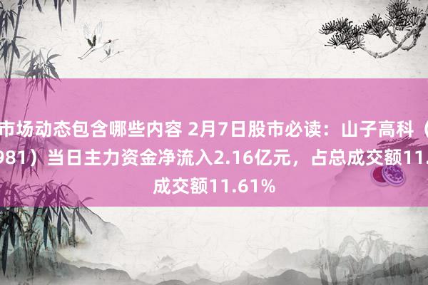 市场动态包含哪些内容 2月7日股市必读：山子高科（000981）当日主力资金净流入2.16亿元，占总成交额11.61%