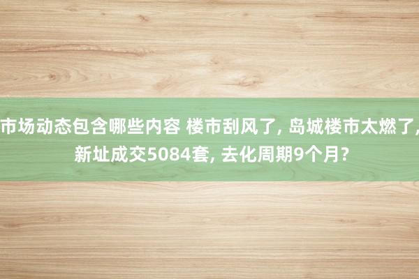 市场动态包含哪些内容 楼市刮风了, 岛城楼市太燃了, 新址成交5084套, 去化周期9个月?