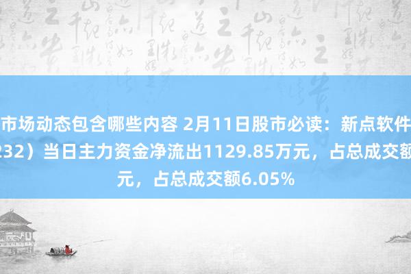 市场动态包含哪些内容 2月11日股市必读：新点软件（688232）当日主力资金净流出1129.85万元，占总成交额6.05%