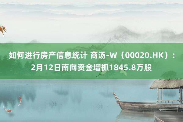 如何进行房产信息统计 商汤-W（00020.HK）：2月12日南向资金增抓1845.8万股