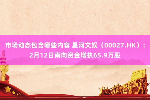 市场动态包含哪些内容 星河文娱（00027.HK）：2月12日南向资金增执65.9万股