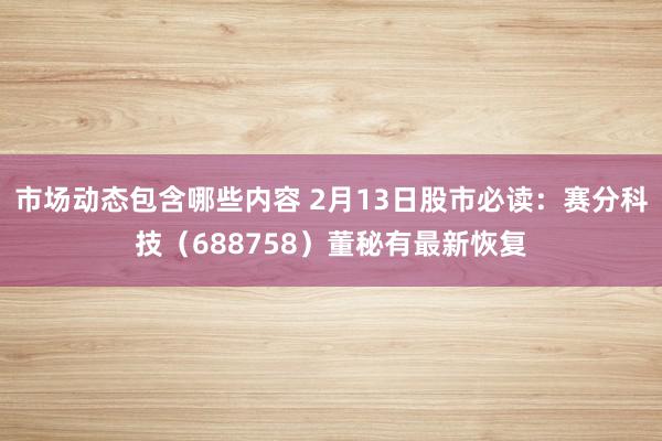 市场动态包含哪些内容 2月13日股市必读：赛分科技（688758）董秘有最新恢复