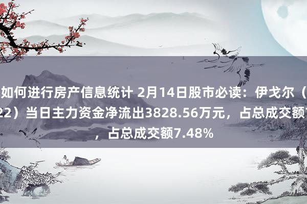 如何进行房产信息统计 2月14日股市必读：伊戈尔（002922）当日主力资金净流出3828.56万元，占总成交额7.48%