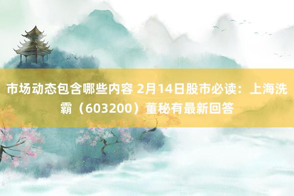 市场动态包含哪些内容 2月14日股市必读：上海洗霸（603200）董秘有最新回答