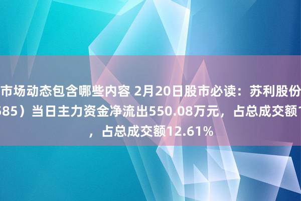 市场动态包含哪些内容 2月20日股市必读：苏利股份（603585）当日主力资金净流出550.08万元，占总成交额12.61%