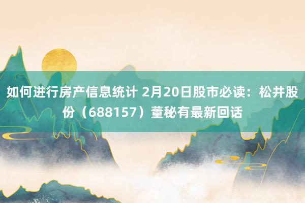 如何进行房产信息统计 2月20日股市必读：松井股份（688157）董秘有最新回话