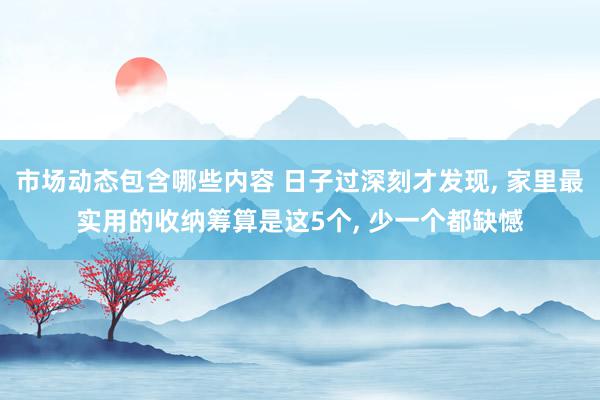 市场动态包含哪些内容 日子过深刻才发现, 家里最实用的收纳筹算是这5个, 少一个都缺憾