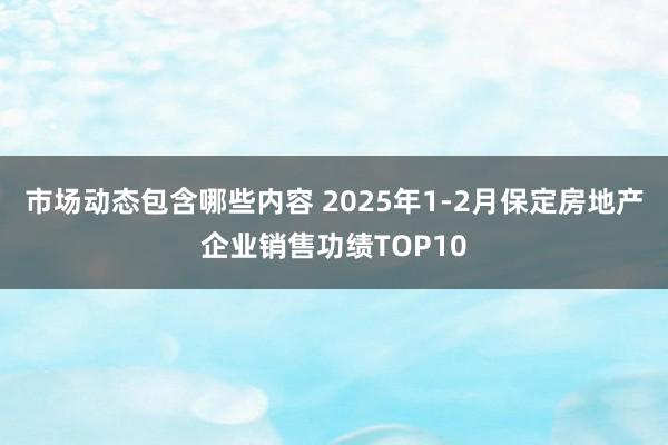 市场动态包含哪些内容 2025年1-2月保定房地产企业销售功绩TOP10