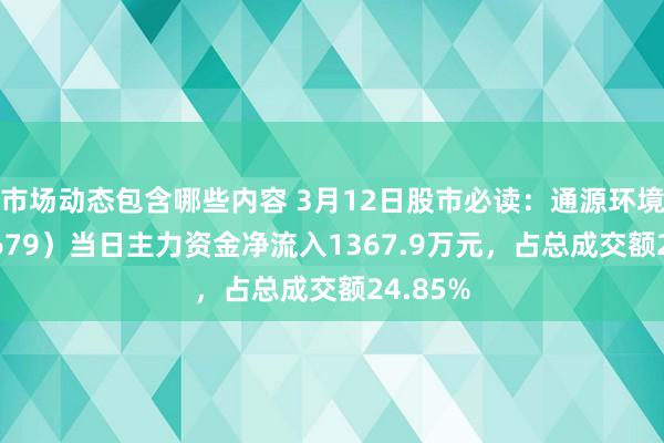 市场动态包含哪些内容 3月12日股市必读：通源环境（688679）当日主力资金净流入1367.9万元，占总成交额24.85%