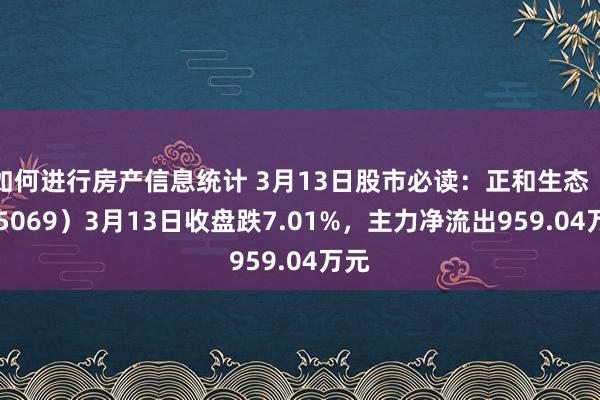 如何进行房产信息统计 3月13日股市必读：正和生态（605069）3月13日收盘跌7.01%，主力净流出959.04万元