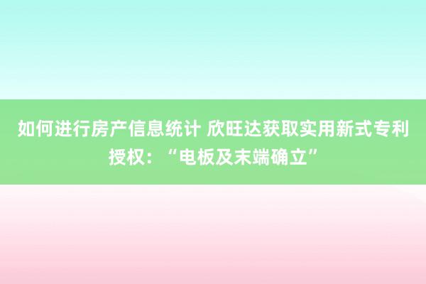 如何进行房产信息统计 欣旺达获取实用新式专利授权：“电板及末端确立”